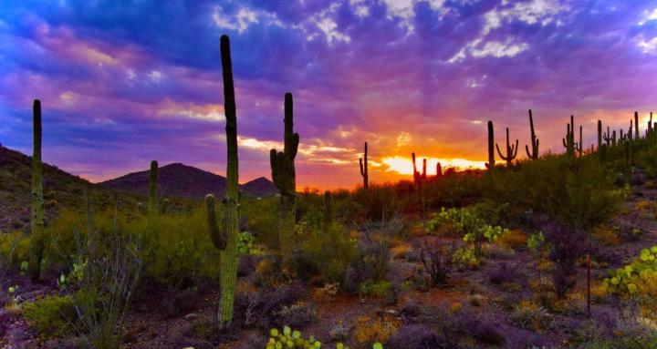 Dryland Permaculture Lifestyle