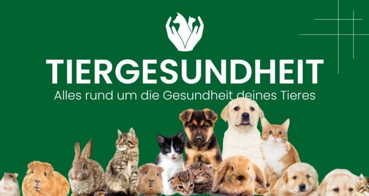 Tiergesundheit