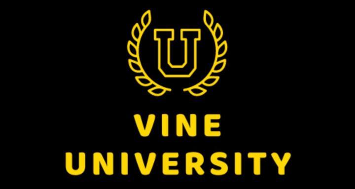 Vine University Premium