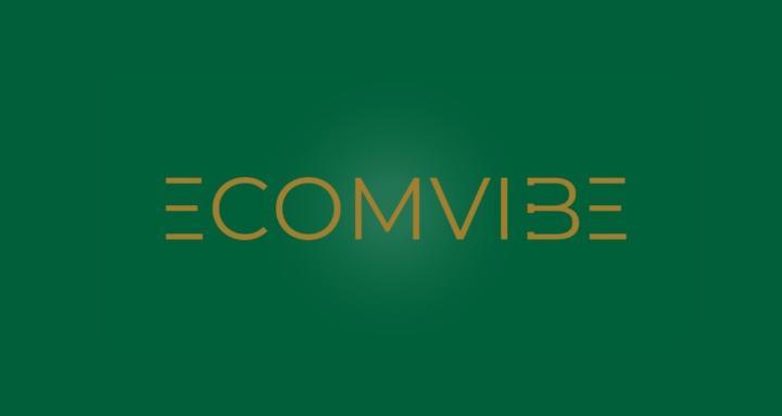 EcomVibe