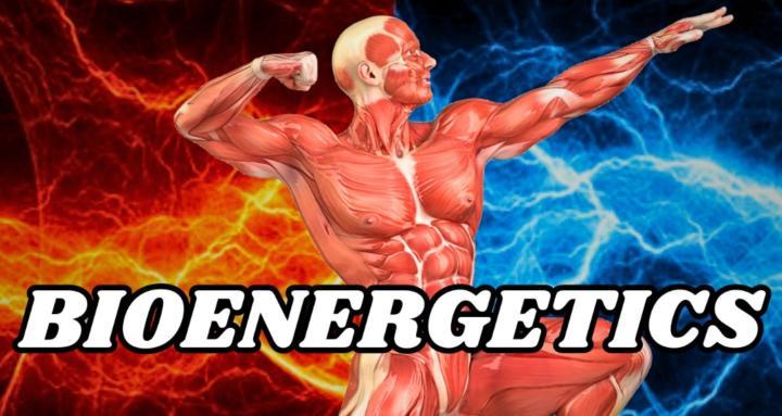 BIOENERGETICS