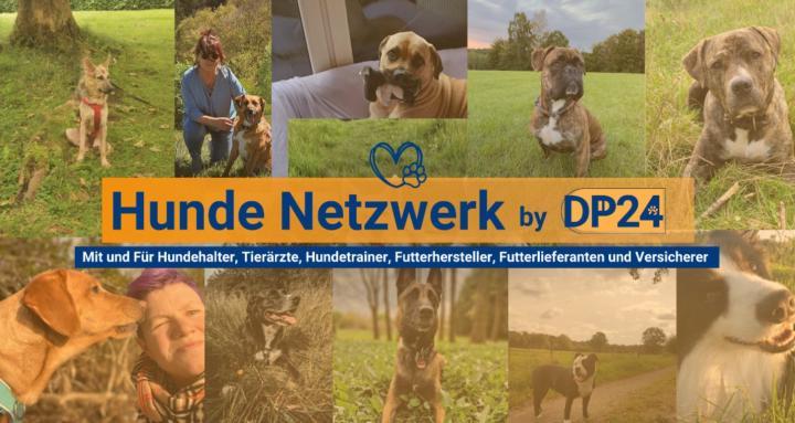 Hunde Netzwerk by Dogprotect24