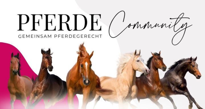 Pferde Community