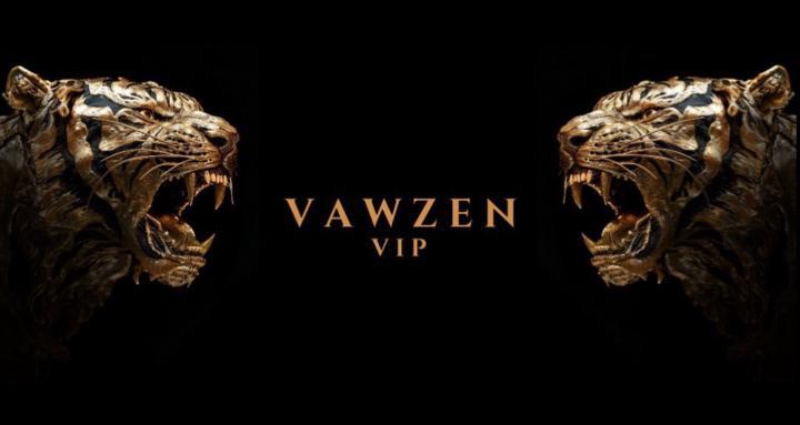 Vawzen Vip™