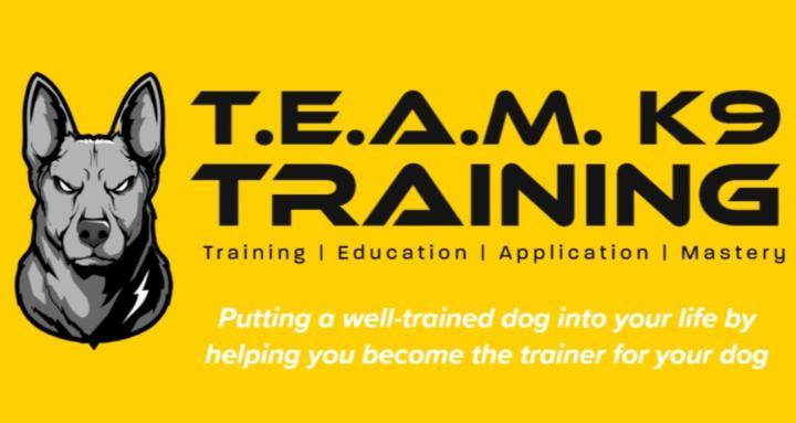 Team K9 Training: Dog Training