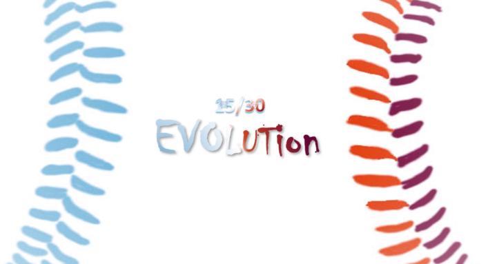 15/30 Evolution