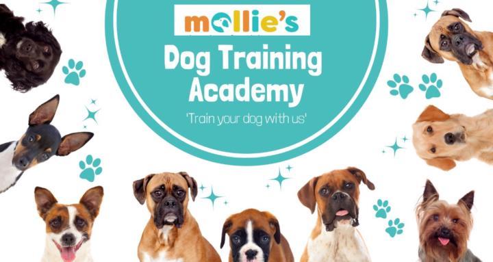 Mollie’s Dog Training Academy