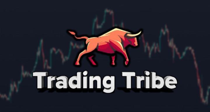 Trading Tribe