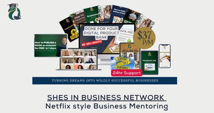 She's In Business Network