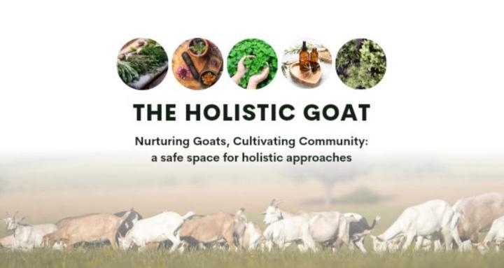 Holistic, Natural Goat Care