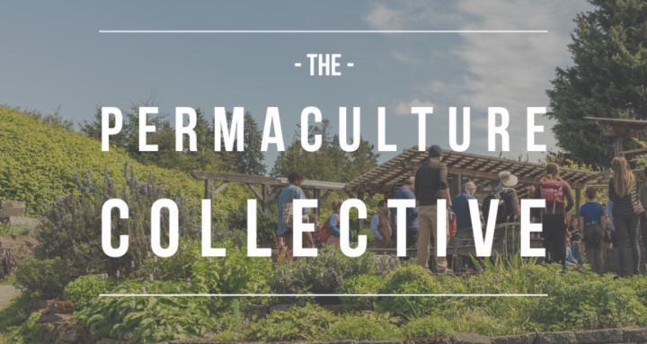 The Permaculture Collective