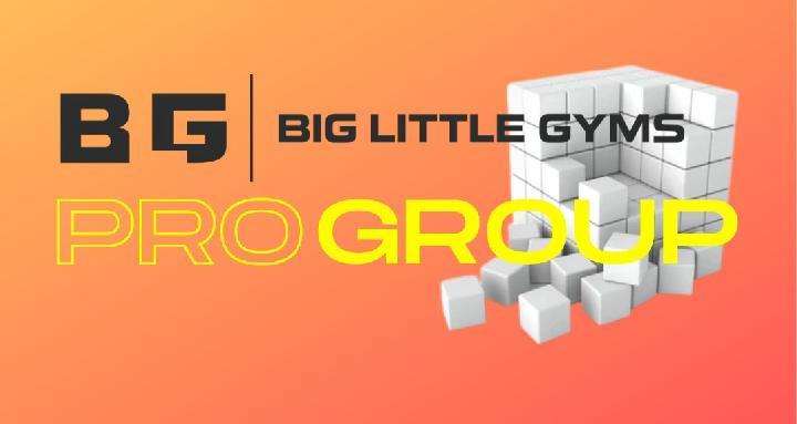 BLG Pro Group