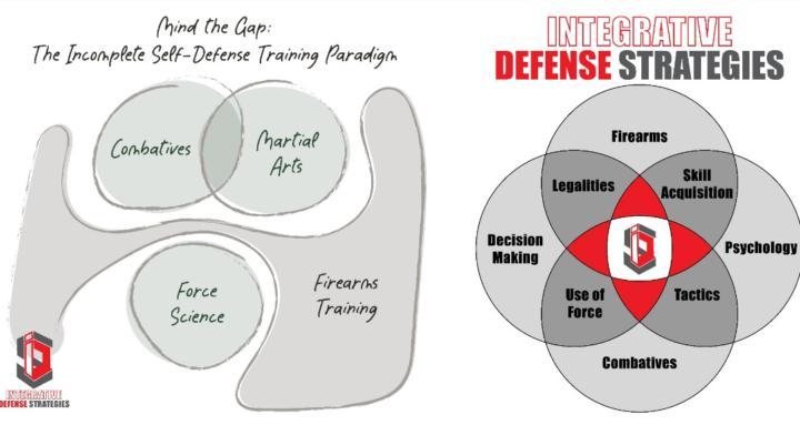 Integrative Defense Strategies